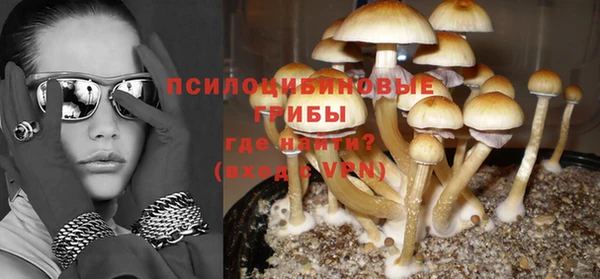 Альфа ПВП Абаза